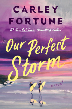 Our Perfect Storm HC