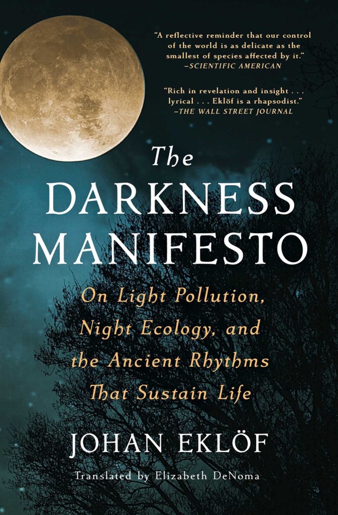 Darkness Manifesto (Rhythms That Sustain Life)