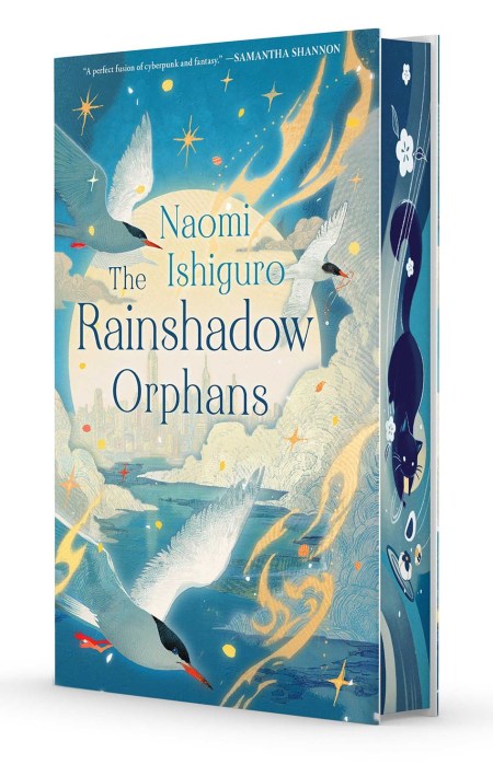 Rainshadow Orphans: Rainshadow Series Book One HC